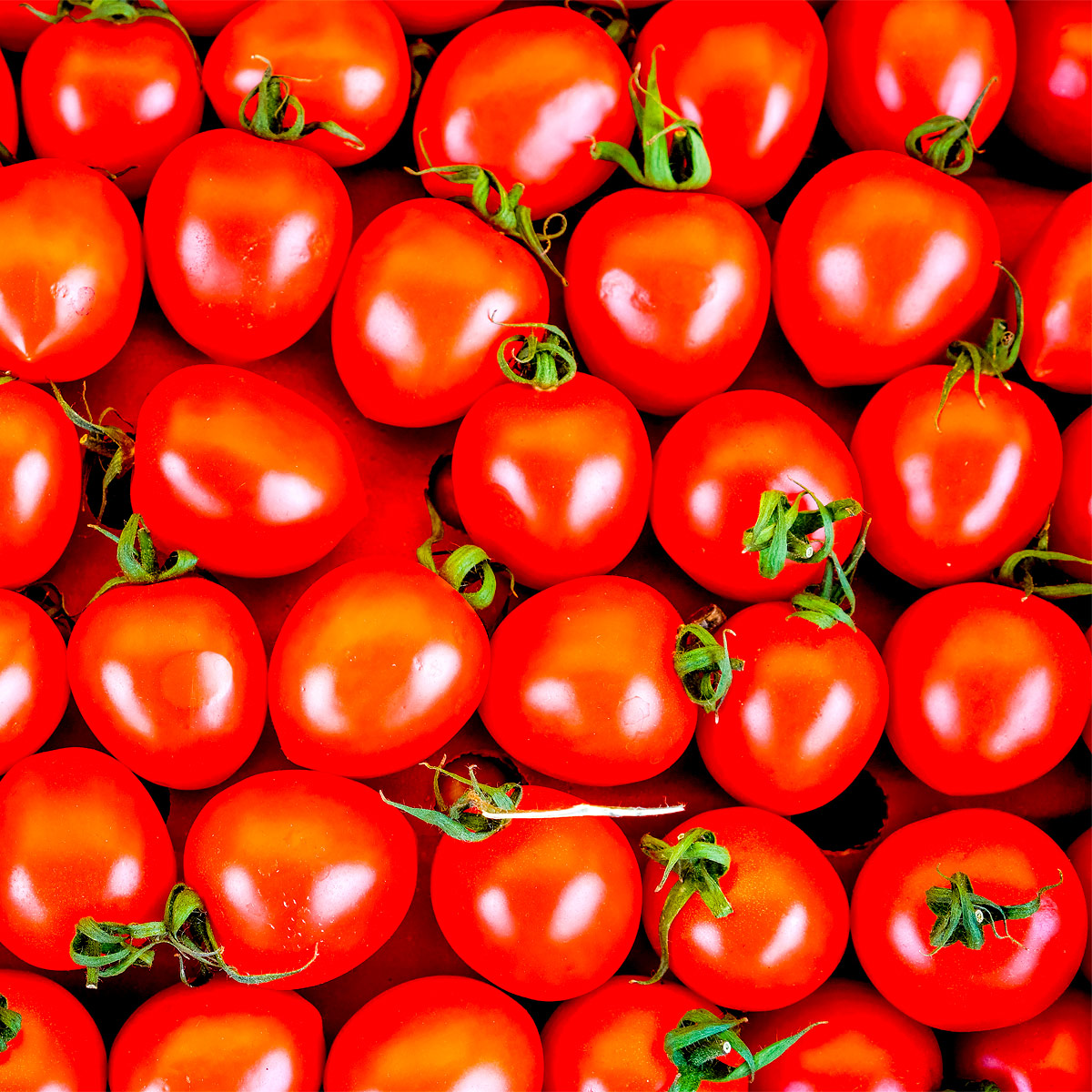 Blush Tomatoes